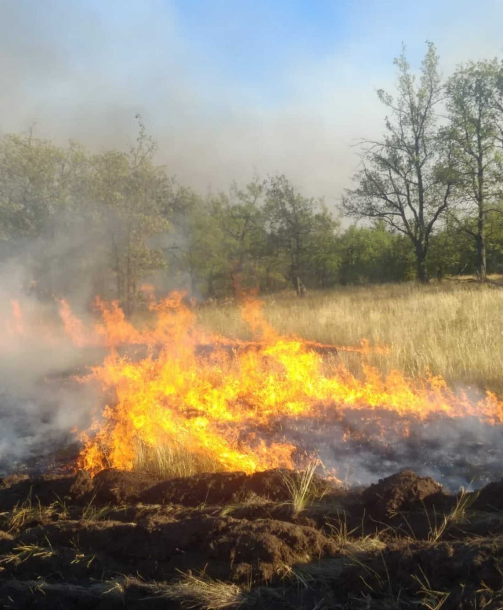 За сутки в республике произошло 53 пожара, из них 36 случаев это горение травы и мусора.