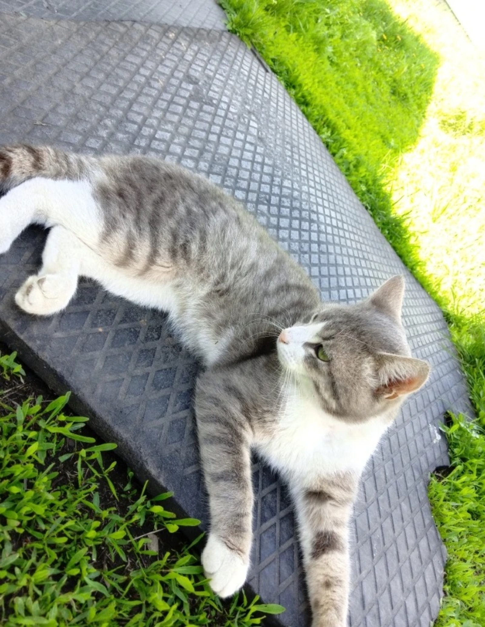 Ҡотороу сиренән һаҡланығыҙ!