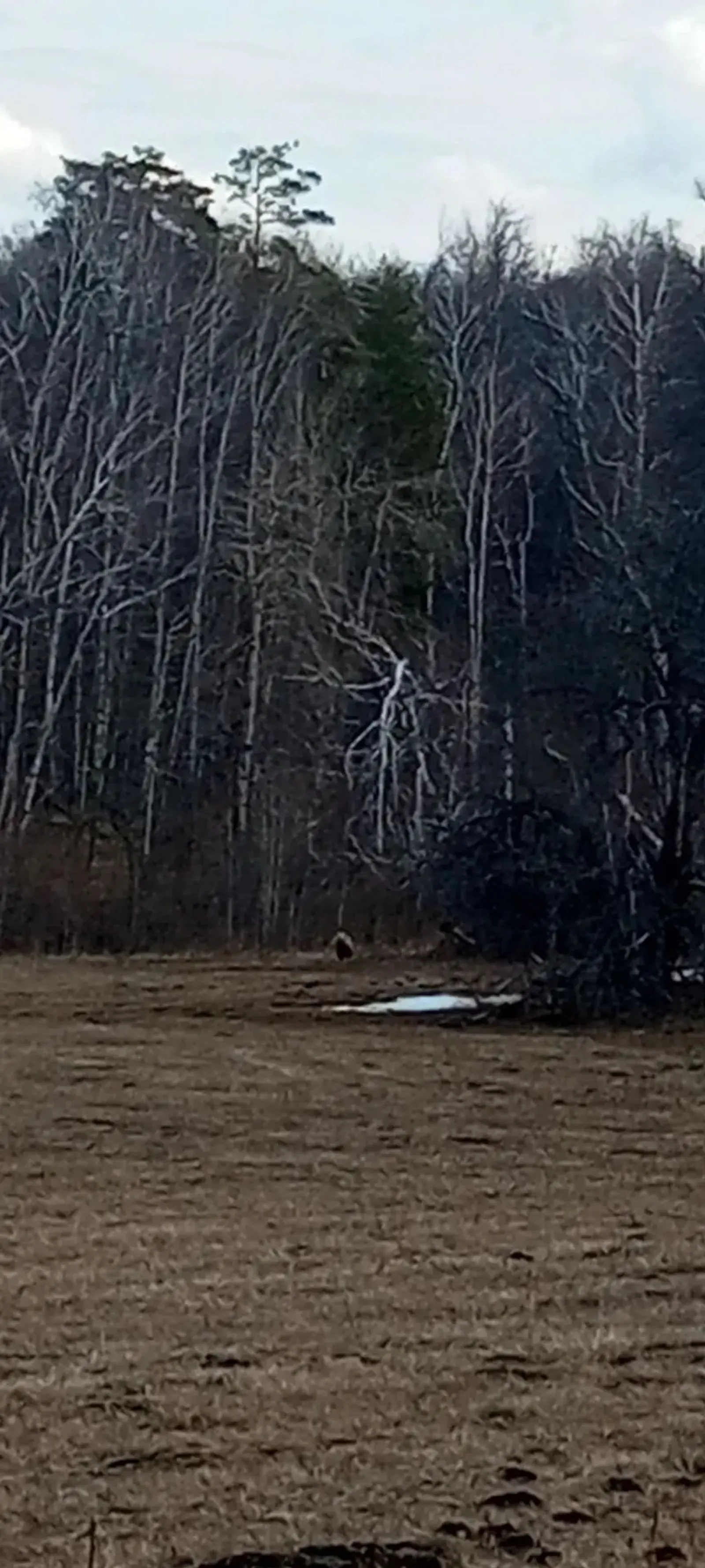 Был "ағай"ҙар  уянды...