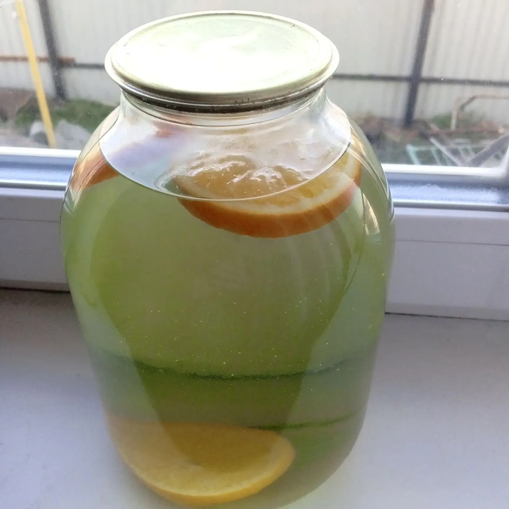 Ҡайын һутынан компот рецебы