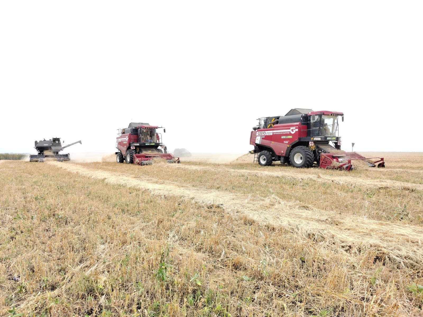 Яңы уңышҡа ҡыуанып