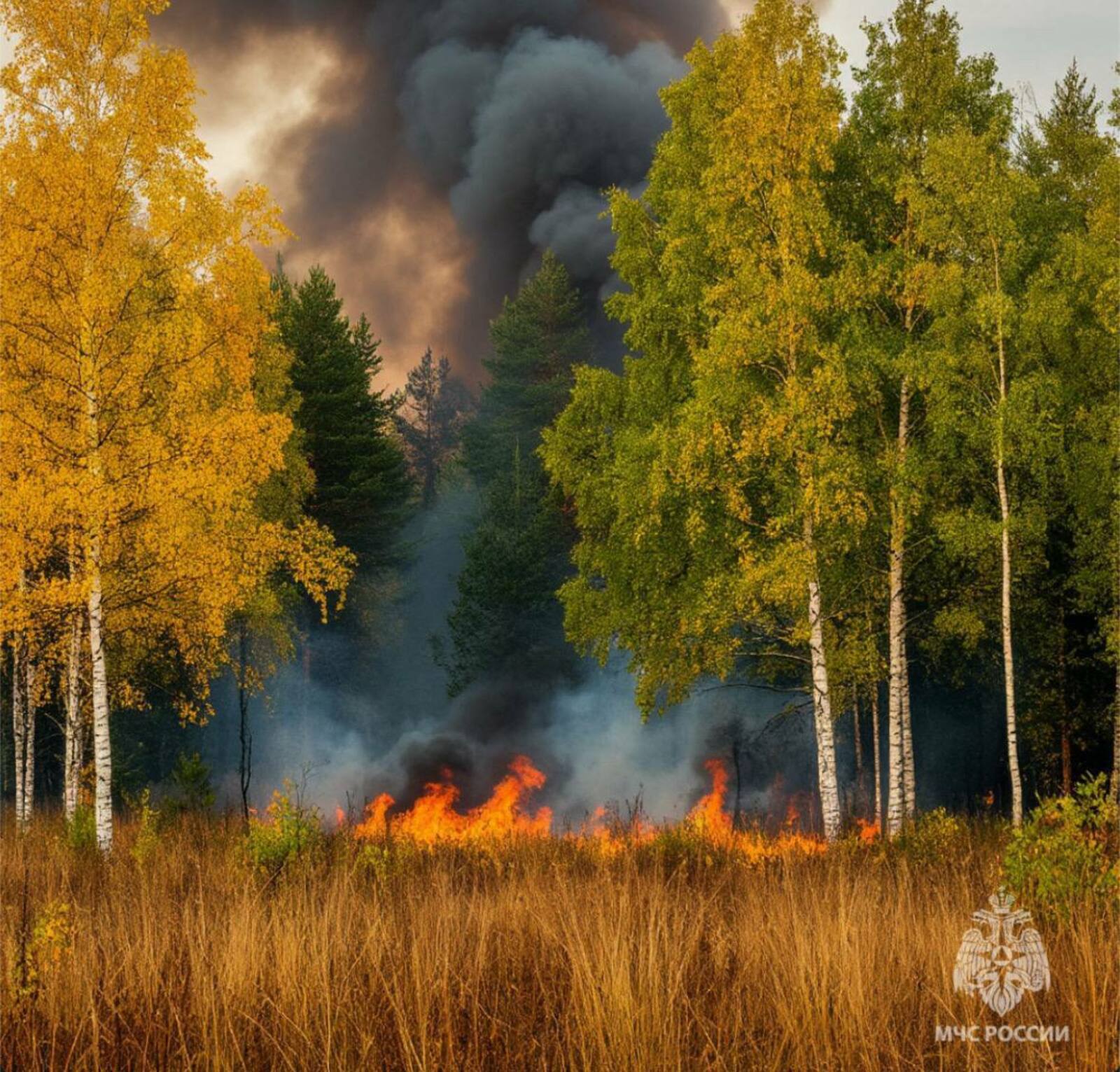 Байғужа эргәһендә янғын сыҡҡан