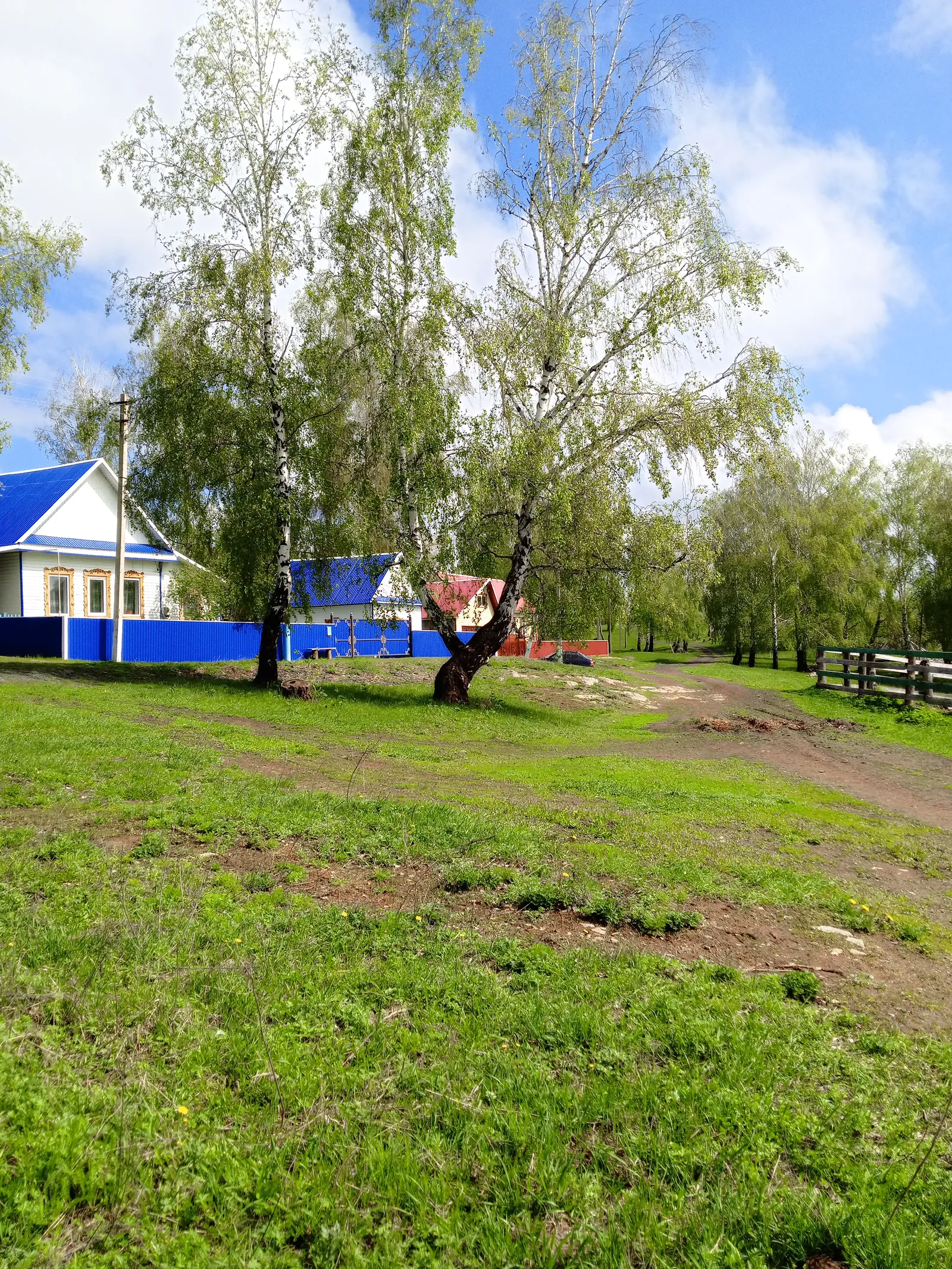 Ҡайын ағас тал булмаҫ, ҡайын һыуы бал булмаҫ!