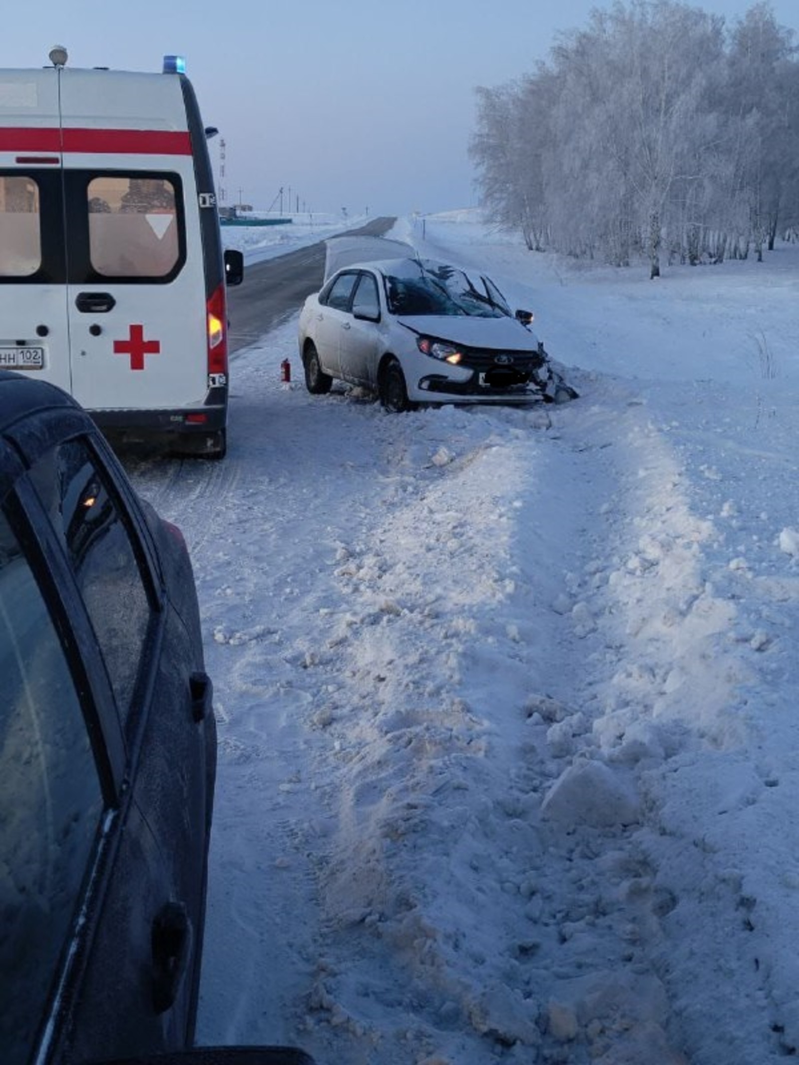 Юлға тағы йылҡы малы сыҡҡан...