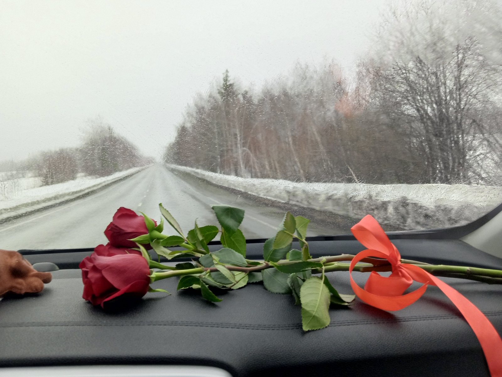 Көслө ҡар яуыуы көтөлә