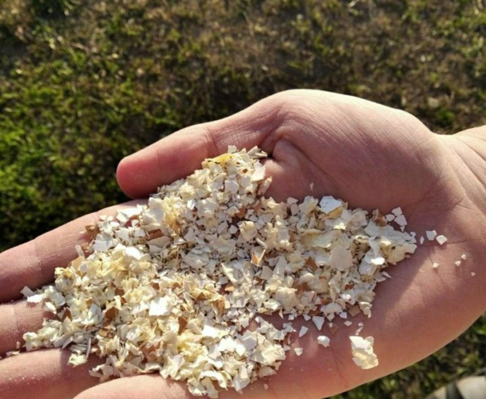 Быуындар, һөйәктәр һыҙлаймы?